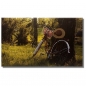 Preview: Bild Kunstdruck FAHRRAD Smaland Schweden 50x30 cm bespannt Holzrahmen