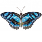 Preview: SCHMETTERLING BLAU Metall Wanddekoration für Innen & Außen