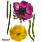 Preview: KOMAR® Freestyle Wandtattoo Decosticker Anemone BLUMEN 6tlg. Aufkleber