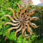 Preview: JULIA großes METALL Windrad Windspiel Gartenstecker Höhe 185 cm Ø 57 cm