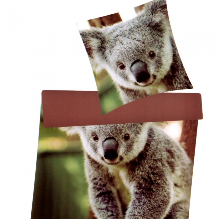 Preview: KOALA BÄR AUSTRALIA Baumwolle Renforce Bettwäsche 155x220 cm