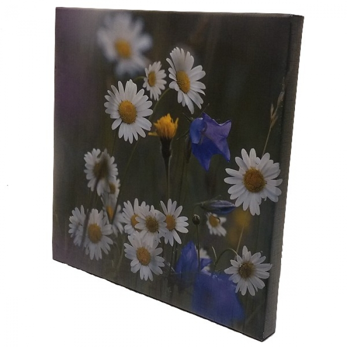 Preview: Bild Kunstdruck BLUMENWIESE Smaland Schweden 30x30 cm bespannt auf Holzrahmen