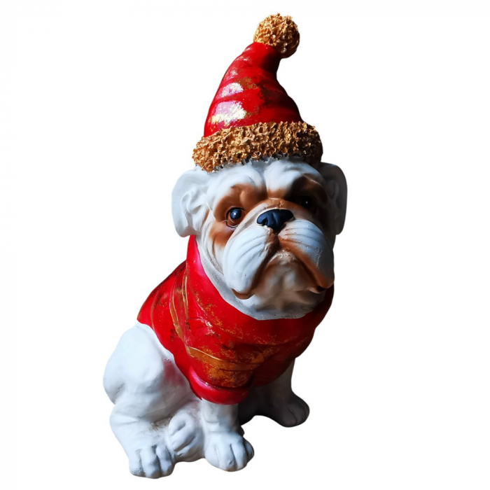 BULLDOGGE sitzend als Weihnachtsmann Weihnachtshund