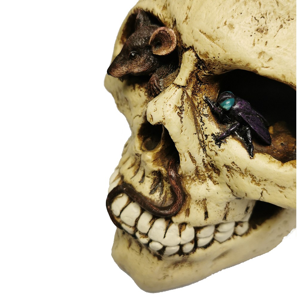 Dekorativer Totenkopf In Rot-Schwarz - Gruselige Deko Für Halloween & Steampunk-Fans