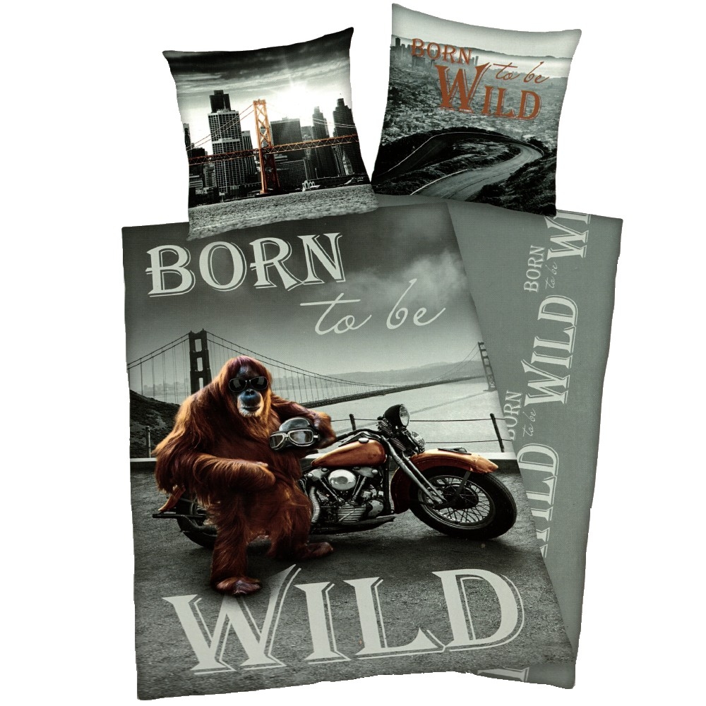 - Kopie - Kopie - Kopie - Kopie - Kopie