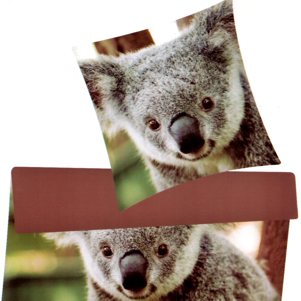 - Kopie - Kopie - Kopie - Kopie - Kopie - Kopie - Kopie - Kopie