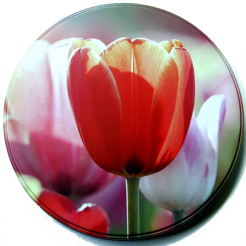 - Kopie - Kopie - Kopie - Kopie - Kopie - Kopie