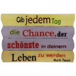 Albesia Holzschild GIB JEDEN TAG DIE CHANCE... 40x60 cm